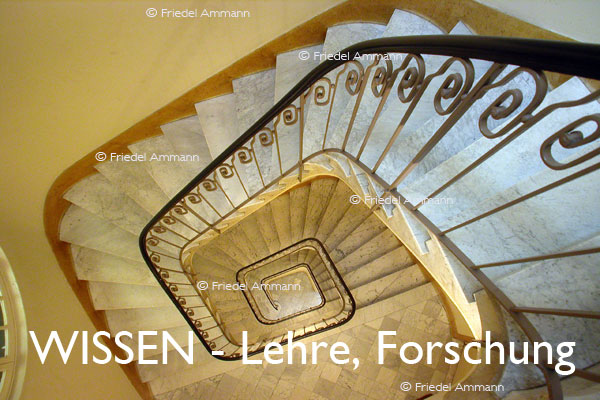 WISSEN - Lehre, Höhenangst-Forschung