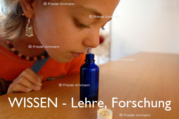 WISSEN - Lehre, Kinder forschen