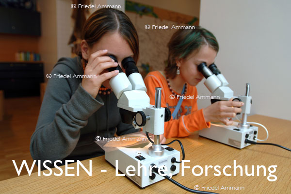 WISSEN - Lehre, Kinder forschen