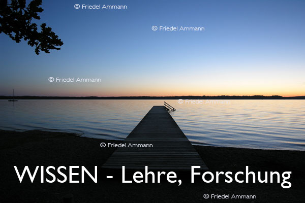 WISSEN - Lehre, Angst-Forschung