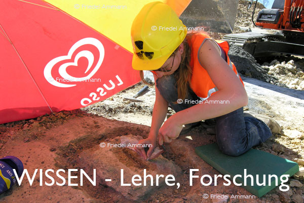 WISSEN - Lehre, Forschung - Archäologie