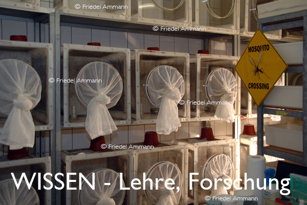 WISSEN - Lehre, Forschung - Tropeninstitut, Basel