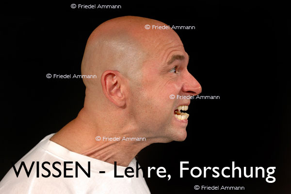 WISSEN - Lehre, Aggressions-Forschung 
