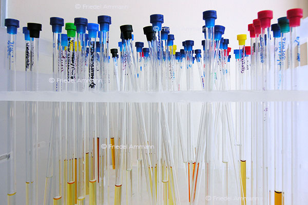 WISSEN - Chemie, Pharma Forschung 1