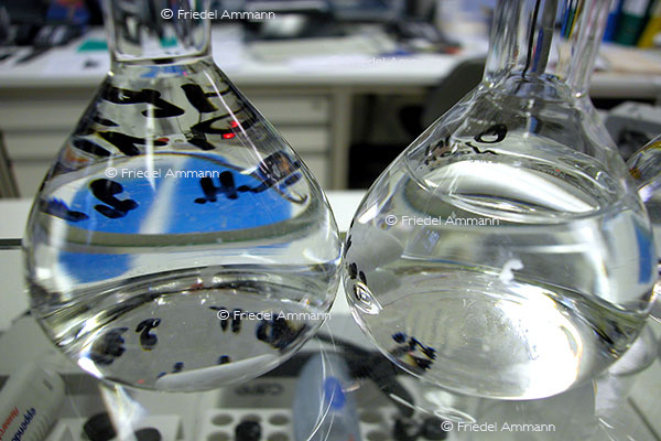 WISSEN - Chemie, Pharma Forschung 1