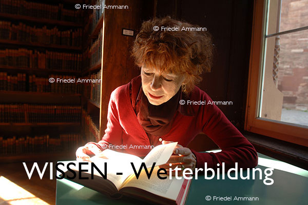 WISSEN - Weiterbildung
