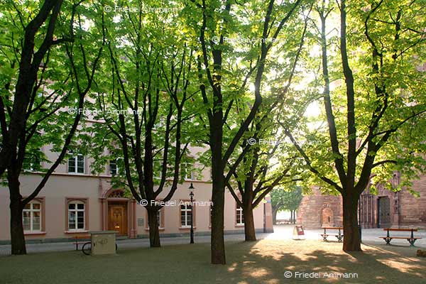 WISSEN - Lesegesellschaft - Münsterplatz, Basel