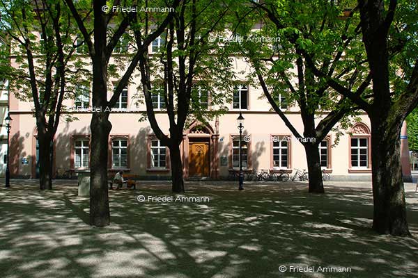 WISSEN - Lesegesellschaft - Münsterplatz, Basel