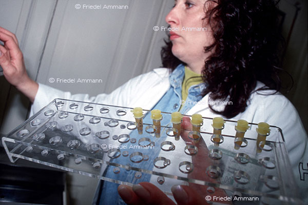 WISSEN - Schulmedizin - DNA-Test