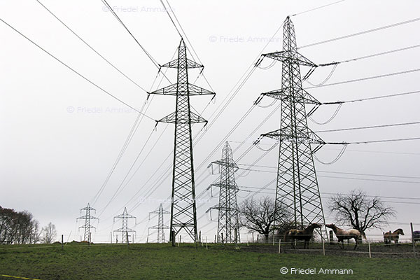 WISSEN - Umwelt, Energie