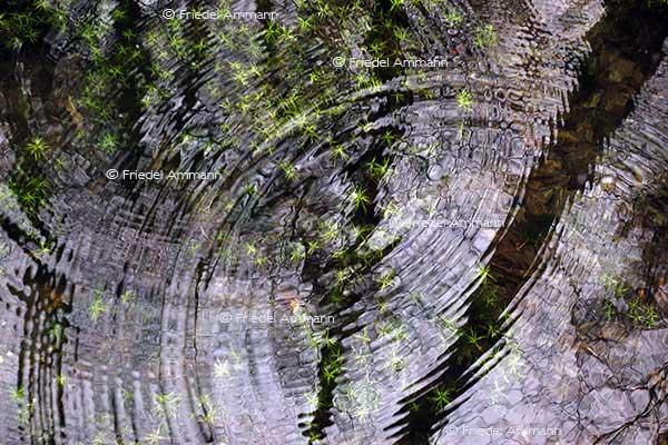 WISSEN - Umwelt, Energie