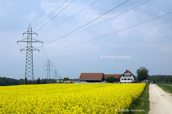 WISSEN - Umwelt, Energie