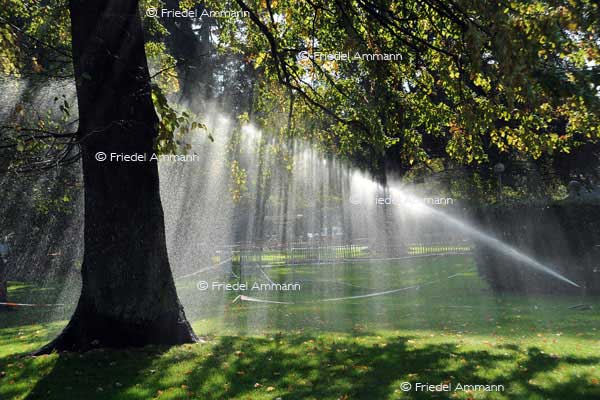 WISSEN - Umwelt, Energie - Wasser