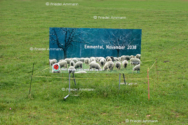 WISSEN - Umwelt, Energie