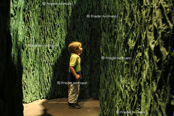 WISSEN - Orientierung - ART Unlimited Basel